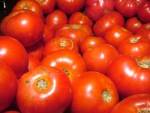 L'Emilia-Romagna ha riconosciuto il distretto del pomodoro da industria Nord Italia